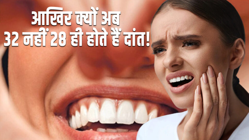 Why do i have only 28 teeth - आखिर क्यों अब 32 नहीं 28 ही होते हैं दांत!