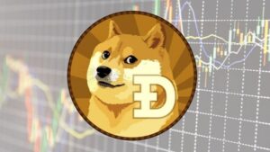 Dogecoin Price Today In India, Dogecoin Price In India Today, Dogecoin Price Inr Chart