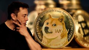 Dogecoin Price Today In India, Dogecoin Price In India Today, Dogecoin Price Inr Chart