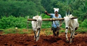 PM Kisan Samman Nidhi, Kisan Samman Nidhi, PM Kisan 11th Installment Date