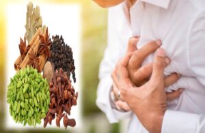 Home Remedies for Heart Attack, Ayurvedic Medicines for Heart Diseases, Ayurvedic Treatment for Heart Attack, home remedies for heart pain