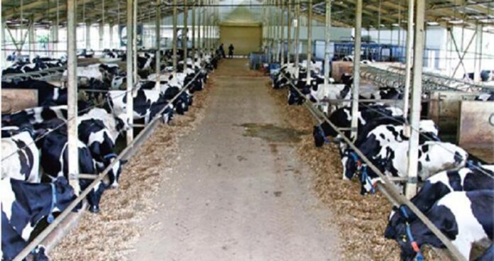 Employment Generation, Improving Economic Activity, Demand for Milk Products, Dairy Industry