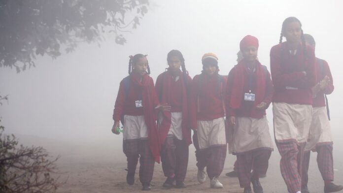 School students winter